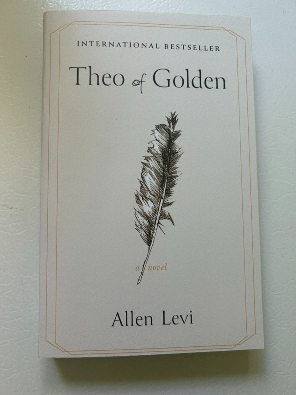 3 for $20 📚 | Theo of Golden by Allen Levi | Paperback Book